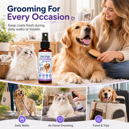 🐾 Pet Detangling Spray | 50ml